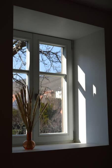 La Douce Escale Apartman Turckheim Kültér fotó